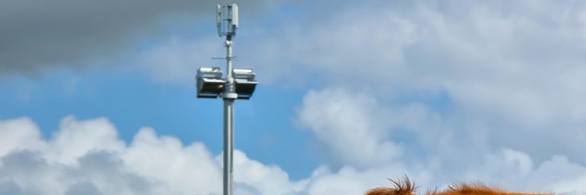 Vodafone hits switch on UK’s first live ‘self-powering’ mobile phone mast